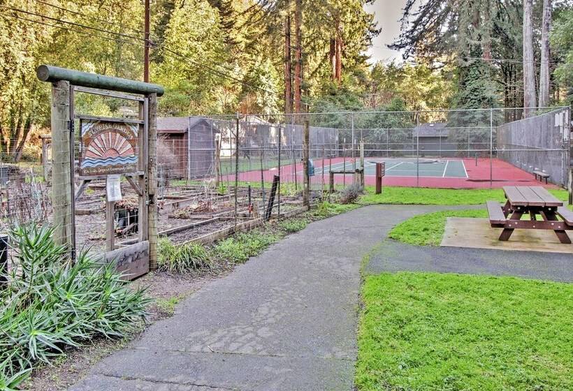 Quiet Cottage W/ Redwood Forest Views & Deck!