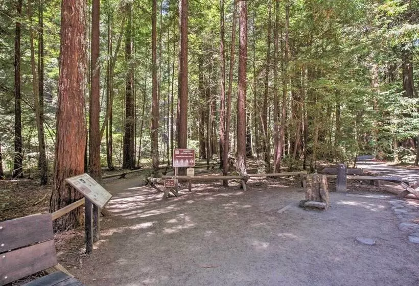 Redwoods Cabin W/ Hot Tub: Walk To Russian River!
