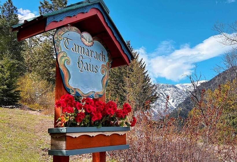 Tamarack Haus  Hot Tub & Ev Charging: Walk Dtwn!