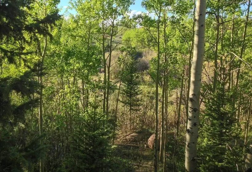 Secluded Log Cabin W/ Game Room & Forest Views