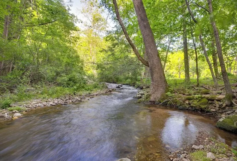 Restored Buchanan Log Cabin On 9 Mile Creek!