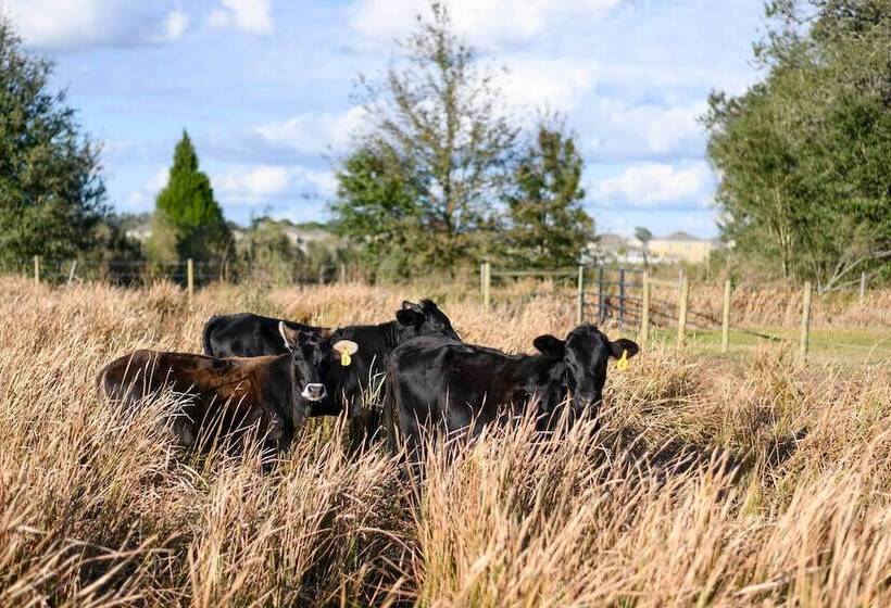 Charming Tiny Home W/ Private Hot Tub!