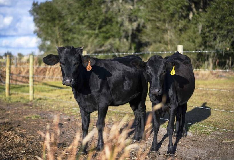 Charming Tiny Home W/ Private Hot Tub!