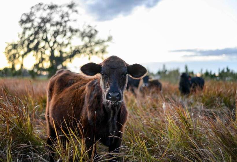 Charming Tiny Home W/ Private Hot Tub!