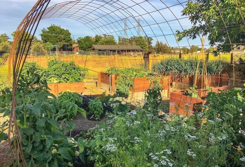 Stunning Wine Country Gem With Hot Tub + Patio!