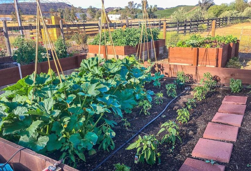 Stunning Wine Country Gem With Hot Tub + Patio!