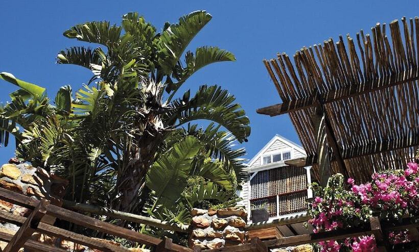 African Violet Guest Suites