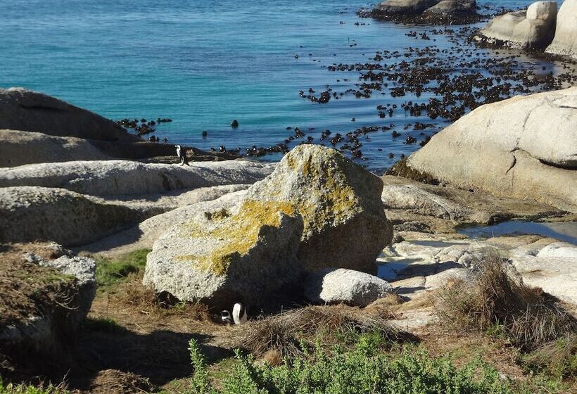 African Violet Guest Suites