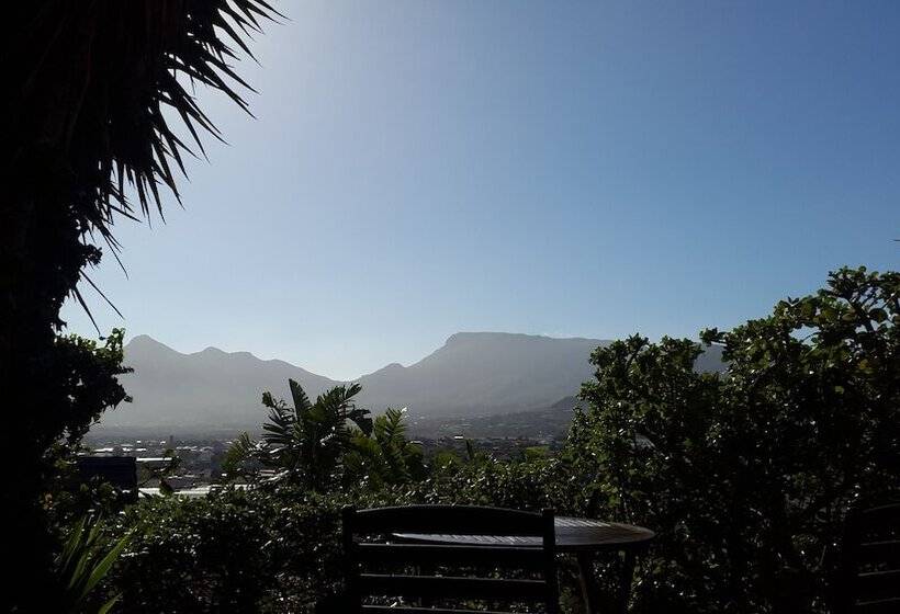 African Violet Guest Suites