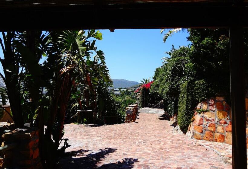 African Violet Guest Suites