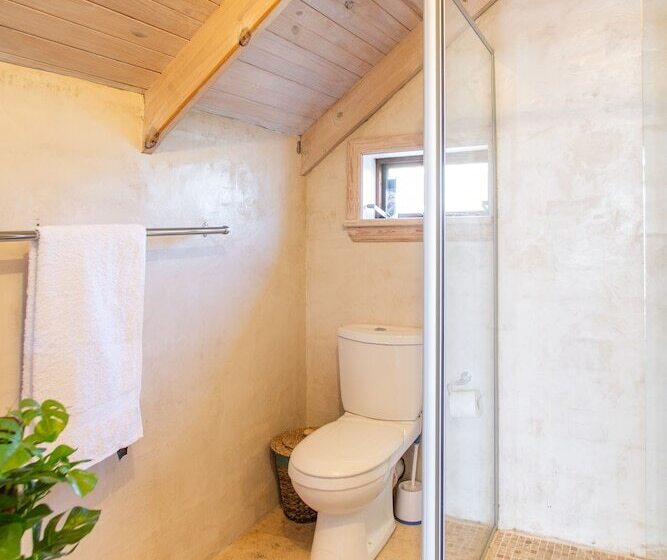 African Violet Guest Suites