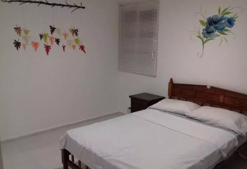 Hostel Punta Sam