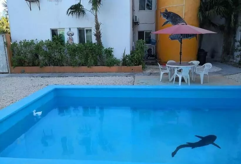 Hostel Punta Sam
