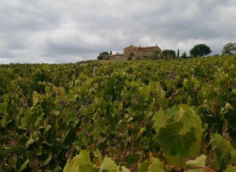 酒店 Agriturismo Podere Del Vescovo