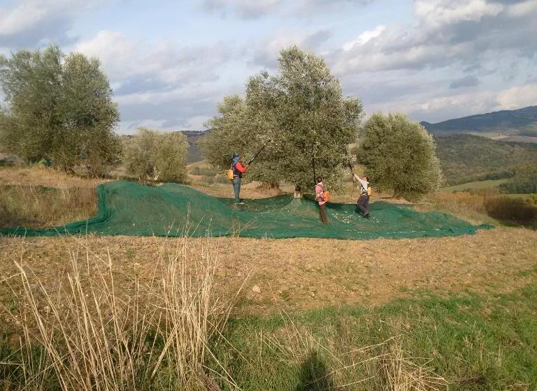 酒店 Agriturismo Podere Del Vescovo