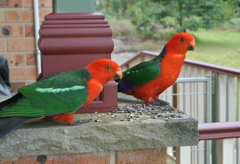 فندق Bryn Glas Farm Stay