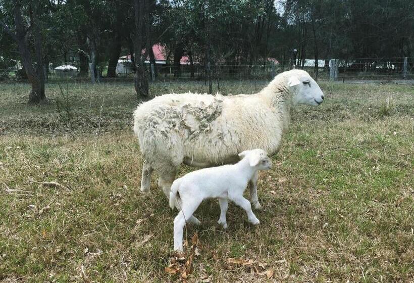 فندق Bryn Glas Farm Stay