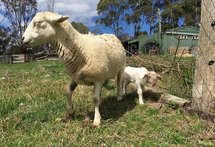 فندق Bryn Glas Farm Stay