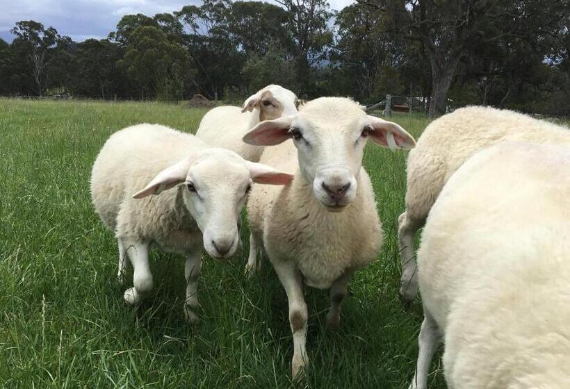 فندق Bryn Glas Farm Stay