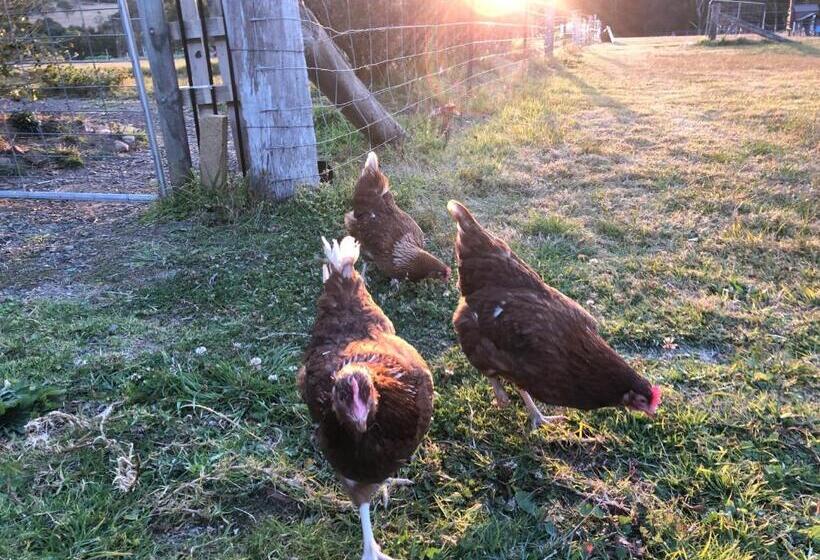 فندق Bryn Glas Farm Stay