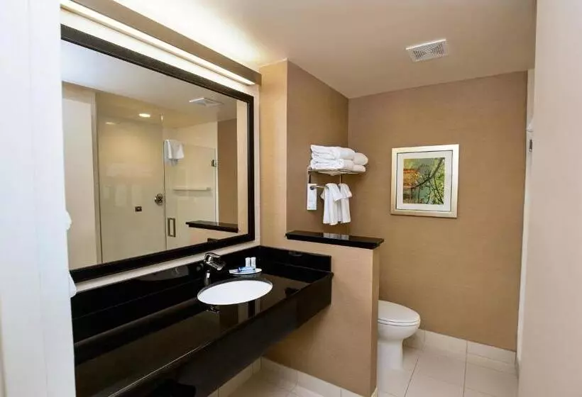 ホテル Fairfield Inn & Suites By Marriott Richmond Midlothian