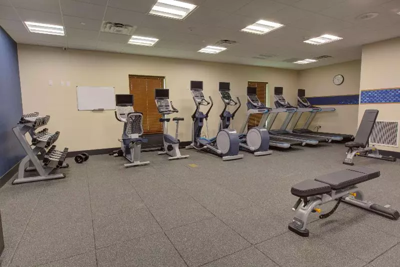 ホテル Hampton Inn & Suites Tampa Busch Gardens Area