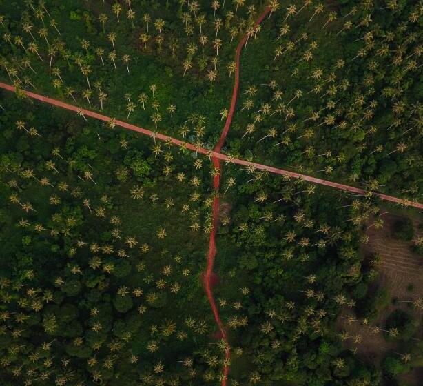 هتل Lazy Day The Resort