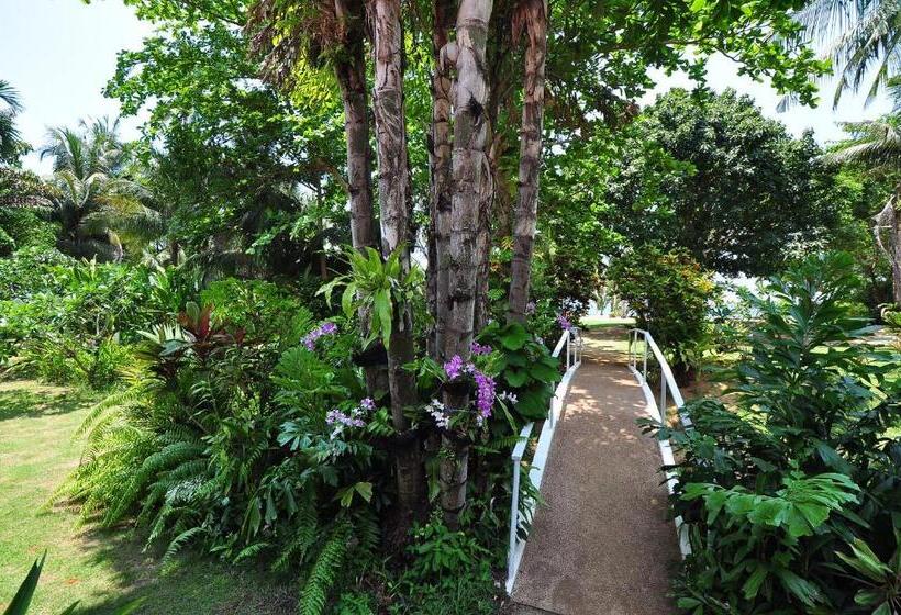 هتل Lazy Day The Resort