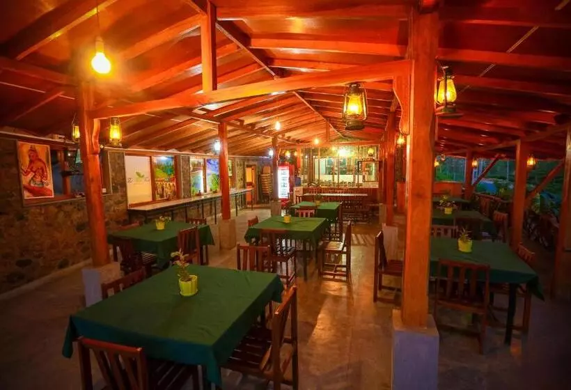 ホテル The Tea Tree Resort