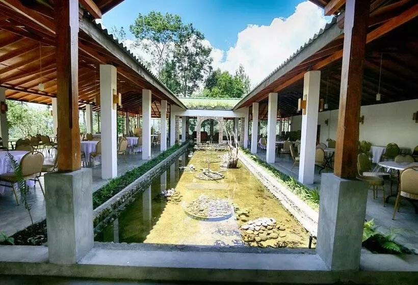 ホテル The Tea Tree Resort