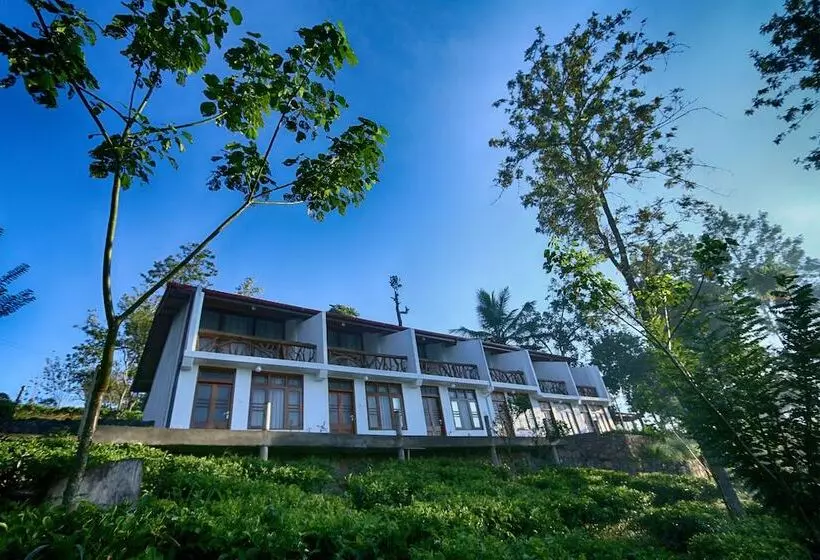 ホテル The Tea Tree Resort