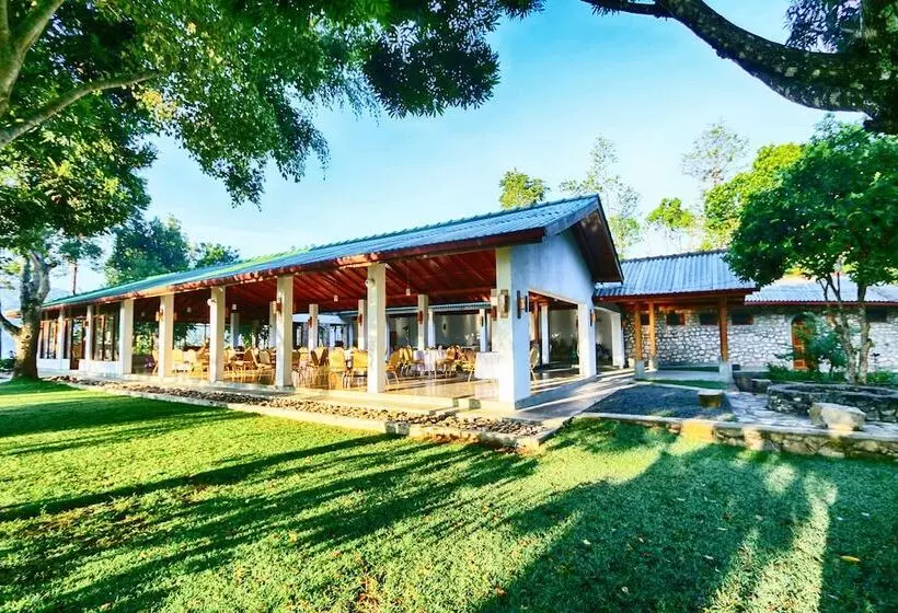 ホテル The Tea Tree Resort