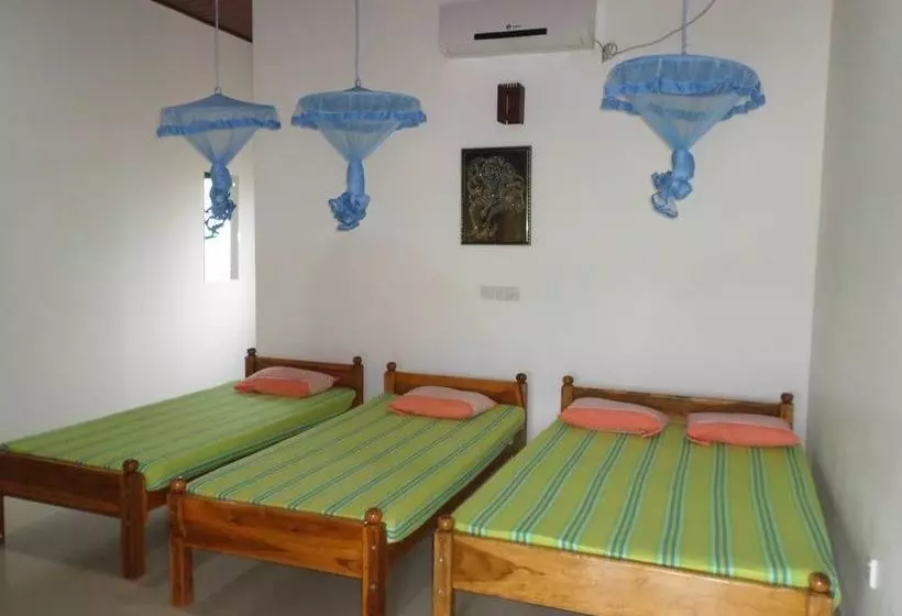 ホテル Vista Rooms Dammarakkitha Road