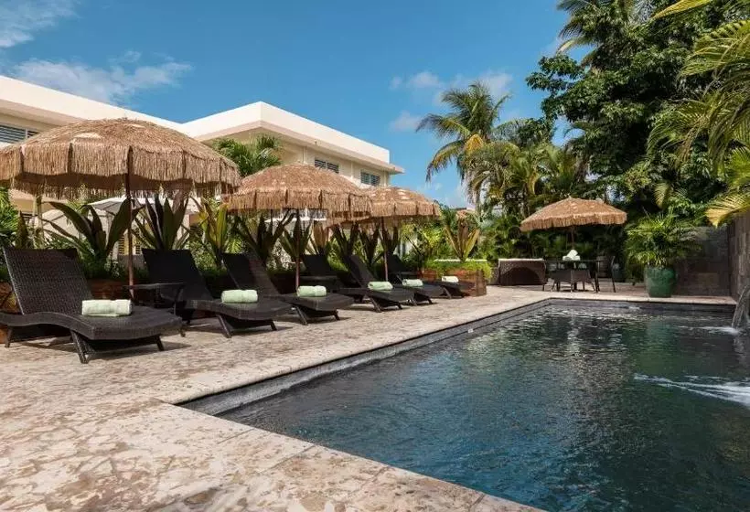 پانسیون Malecon House