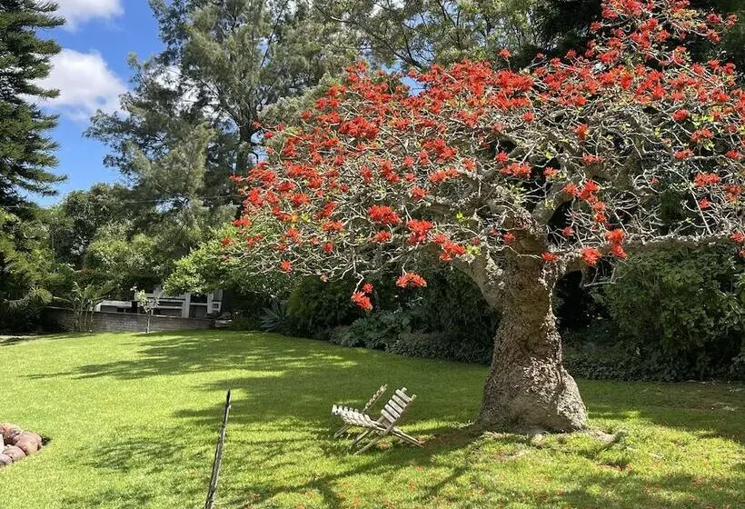 پانسیون Marula Lodge