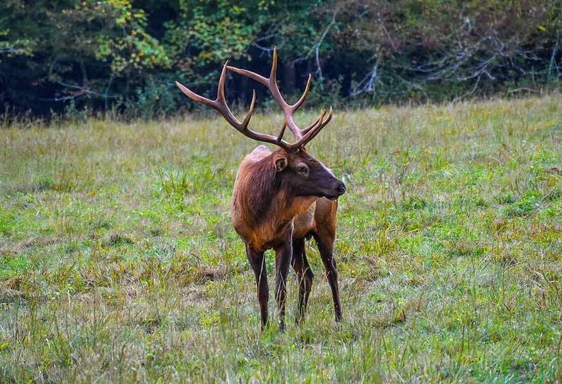 Pet Friendly Home W/ Deck + Mountain Views!