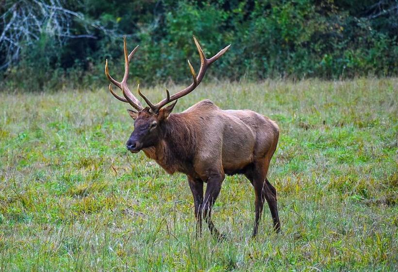 Pet Friendly Home W/ Deck + Mountain Views!