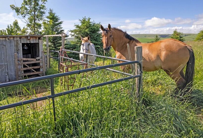 Bozeman Getaway On The Prairie W/ Patio & Grill
