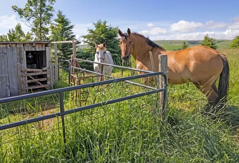 Bozeman Getaway On The Prairie W/ Patio & Grill