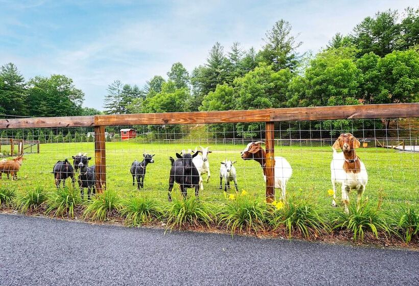 Pisgah Forest Farm Home: Outdoor Pool & Games