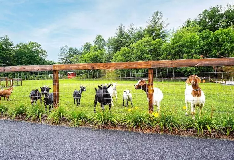 Pisgah Forest Farm Home: Outdoor Pool & Games