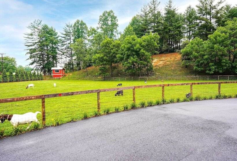 Pisgah Forest Farm Home: Outdoor Pool & Games