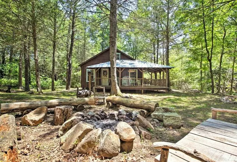 Clearwater Cabin  On 10 Acres W/ Trout Stream!