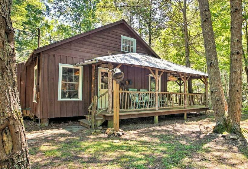 Clearwater Cabin On 10 Acres W/ Trout Stream!