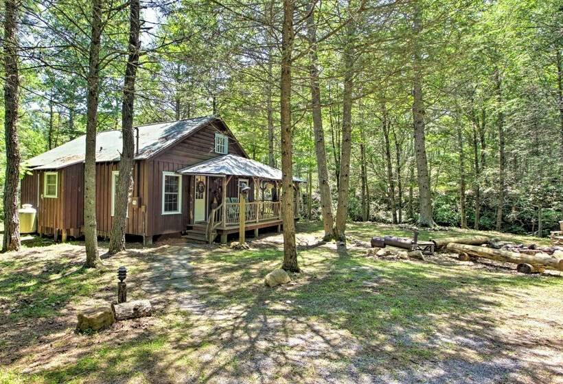 Clearwater Cabin On 10 Acres W/ Trout Stream!