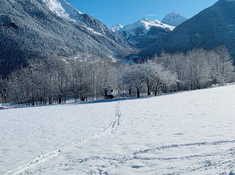 Bed and Breakfast Chalet Violettes