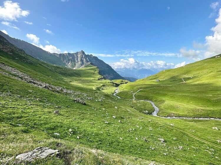 Bed and Breakfast Chalet Violettes