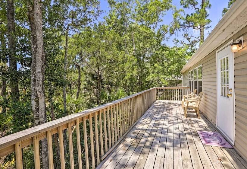 Bright Steinhatchee Home: Proximity To Ocean!
