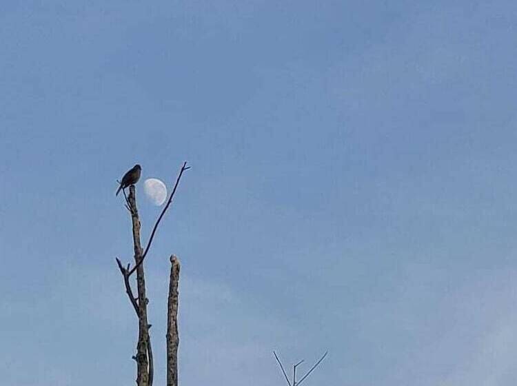 פונדק Sitio148 Hospedaria