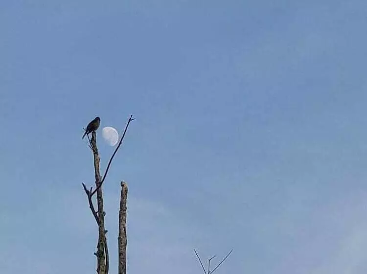 Hostelli Sitio148 Hospedaria